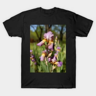 Lavender Irises T-Shirt